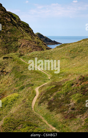 L'article du south west coast path sur le Cornwall Devon frontière près de Hartland Quay en direction de Gull Rock Banque D'Images