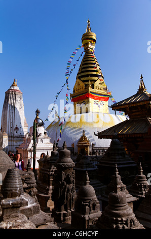 Le Temple de Swayambhunath, singe, Kathamndu, Népal Banque D'Images