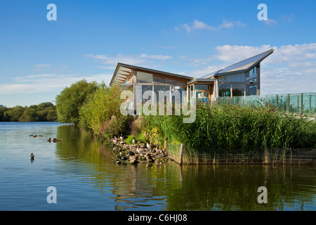 Attenborough Nature Centre Nottingham England UK GB EU Europe Banque D'Images