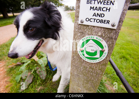 Un signe pour les tisserands Way sentier à Norfolk, au Royaume-Uni. Banque D'Images