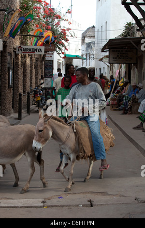 Man riding son animal pack le long des rues étroites de l'île de Lamu, Kenya Afrique Banque D'Images