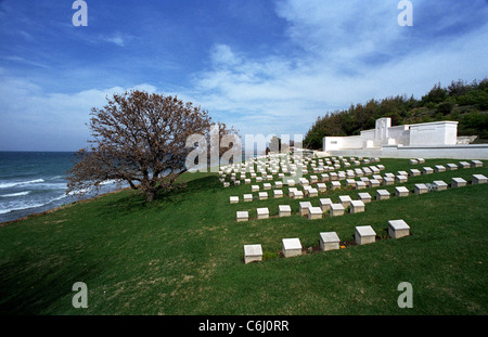 Cimetière de la plage de Gallipoli en Turquie,Bataille de campagne 1915. Maintenu par le Commonwealth War Graves Commission. Banque D'Images