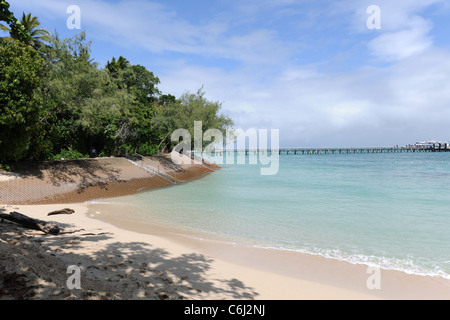 Sea wall pour empêcher l'érosion des plages, l'île Green, Grande Barrière de corail, Queensland, Australie Banque D'Images
