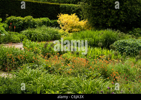 Le jardin chaud en juin, RHS Rosemoor, Devon, Angleterre, Royaume-Uni Banque D'Images