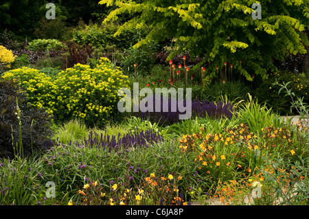 Le jardin chaud en juin, RHS Rosemoor, Devon, Angleterre, Royaume-Uni Banque D'Images