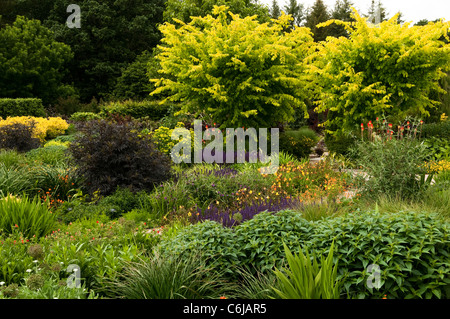Le jardin chaud en juin, RHS Rosemoor, Devon, Angleterre, Royaume-Uni Banque D'Images