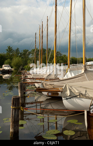 Bateaux amarrés à Barton Broad, Norfolk, Angleterre. Banque D'Images