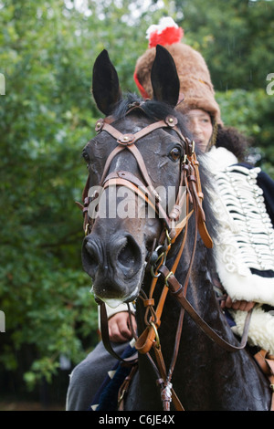 La cavalerie de Napoléon recréé Portrait pur-sang Banque D'Images