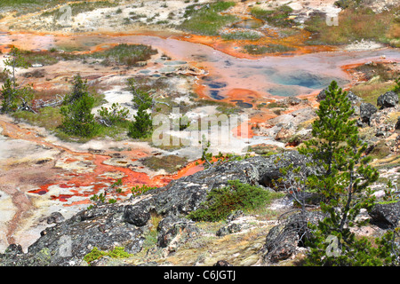 Les Pots de peinture de l'artiste - Yellowstone Banque D'Images