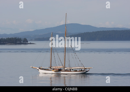 Croisière Zodiac Schooner chenal Swanson dans les îles Gulf, en Colombie-Britannique, Canada Banque D'Images