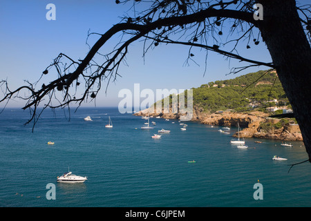 Bateaux amarrés à Sa Riera, Costa Brava, Catalogne, Espagne Banque D'Images