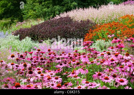 Le Millenium à Pensthorpe Jardin nature reserve, Norfolk, UK, a été conçu par Piet Oudolf, Banque D'Images