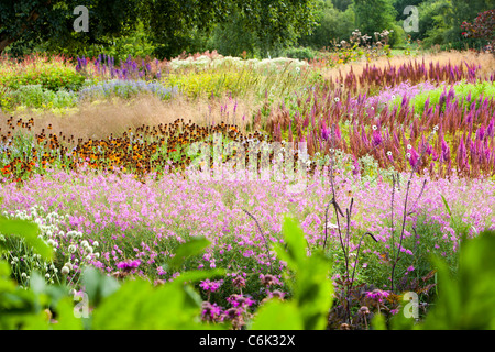 Le Millenium à Pensthorpe Jardin nature reserve, Norfolk, UK, a été conçu par Piet Oudolf, Banque D'Images