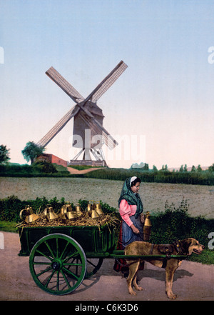 Milksellers, Bruxelles, Belgique, vers 1900 Banque D'Images