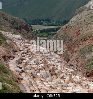 Portrait d'étangs en terrasses, Salinas, Maras, Vallée Sacrée, région de Cuzco, Pérou Banque D'Images