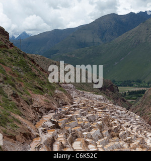 Portrait d'étangs en terrasses, Salinas, Maras, Vallée Sacrée, région de Cuzco, Pérou Banque D'Images