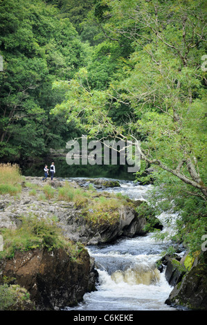 La rivière Afon Teifi de Cenarth pont qui la frontière entre Carmarthenshire Ceredigion et dans l'ouest du pays de Galles Welsh UK Banque D'Images