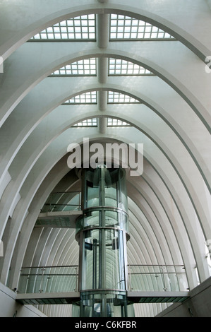 Modernisation de la gare ferroviaire de Liège-Guillemins conçue par l'architecte Santiago Calatrava à Liège Belgique Banque D'Images