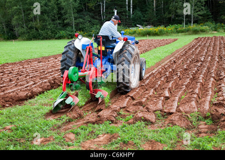 Un concurrent sur un ancien tracteur laboure dans le Provincial de Labour & foire agricole au Dundas, l'Île du Prince Édouard. Banque D'Images