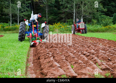 Un concurrent sur un ancien tracteur laboure dans le Provincial de Labour & foire agricole au Dundas, l'Île du Prince Édouard. Banque D'Images