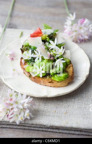 Fève et herb tartines de fleurs sauvages Banque D'Images