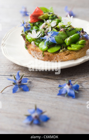 Fève et herb tartines de fleurs sauvages Banque D'Images