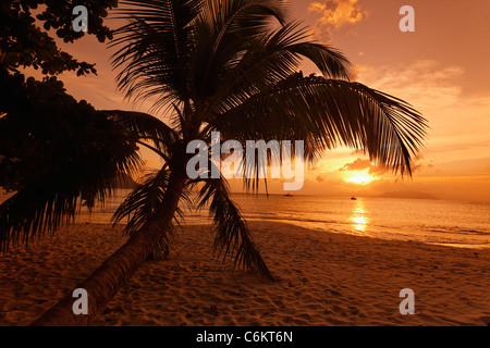 Coral Beach Sunset , Baie de Beau Vallon, l'île de Mahé, Seychelles, océan Indien, Afrique Banque D'Images