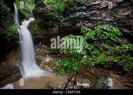 Eden Falls, Hidden Valley, Ozark Mountains de l'Arkansas - USA Banque D'Images