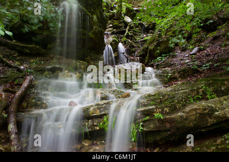 Eden Falls, Hidden Valley, Ozark Mountains de l'Arkansas - USA Banque D'Images