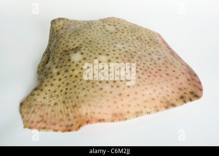 Aile De Raie Fraiche Photo Stock Alamy