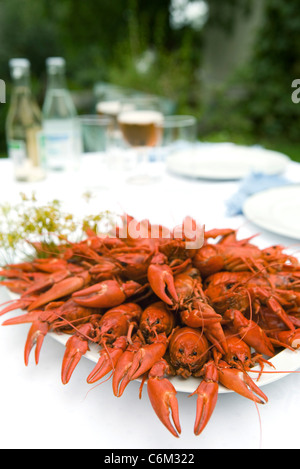 La langouste bouillie sur table de dîner en plein air Banque D'Images