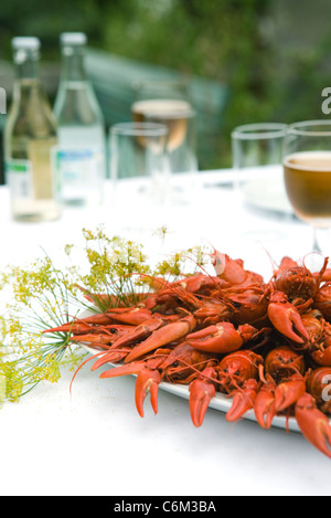 La langouste bouillie sur table de dîner en plein air Banque D'Images
