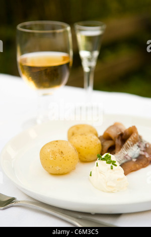 Pommes de terre nouvelles avec hareng mariné et la crème sure Banque D'Images