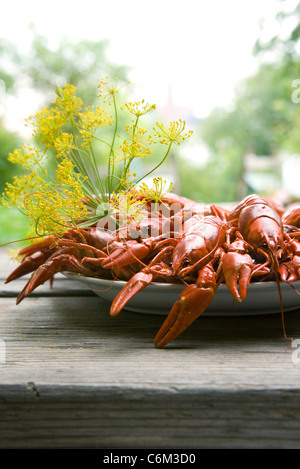 La langouste bouillie garnie d'aneth Banque D'Images