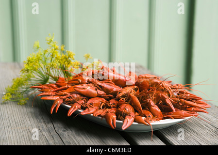 La langouste bouillie garnie d'aneth frais Banque D'Images