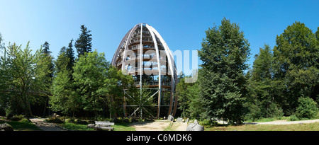 World's longest Tree Top walk grand arbre Neuschoenau plate-forme le parc national de la Forêt Bavaroise Allemagne Bavière Vue Panoramique droit RH Banque D'Images