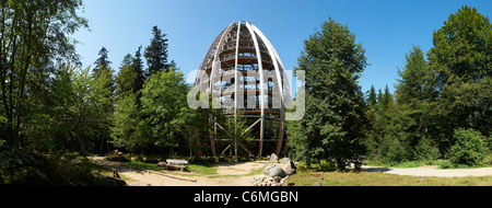 World's longest Tree Top walk grand arbre Neuschoenau plate-forme le parc national de la Forêt Bavaroise Allemagne Bavière Vue Panoramique droit RH Banque D'Images