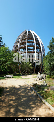 World's longest Tree Top walk grand arbre Neuschoenau plate-forme le parc national de la Forêt Bavaroise Allemagne Bavière Vue Panoramique droit RH Banque D'Images