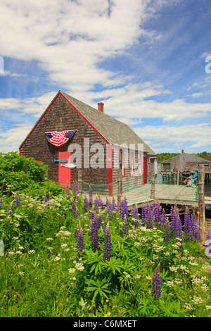 McCurdy Smokehouse, Lubec, Maine, USA Banque D'Images