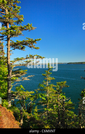 Sentier de la Garde côtière canadienne, à l'Ouest Quaddy Head State Park, Lubec, Maine, États-Unis Banque D'Images