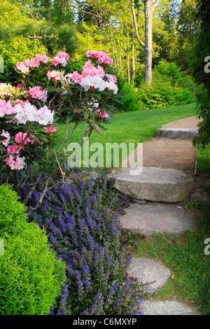 Jardins de thuya, Northeast Harbor, Mount Desert Island, Maine, USA Banque D'Images