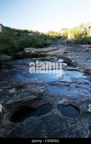 Cedarburg ruisseau de montagne avec de l'eau coulant sur une zone rocheuse. Banque D'Images