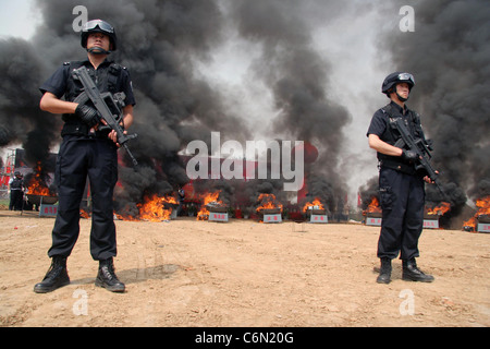 Détruire la police stupéfiants au département des douanes à l'occasion de la Journée internationale contre l'abus et le trafic de Banque D'Images