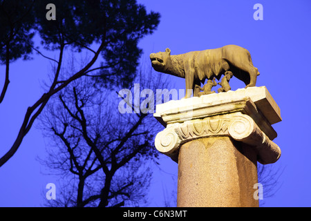 Statue de Romulus et Remus, le loup sucer à Rome. L'Italie. Banque D'Images