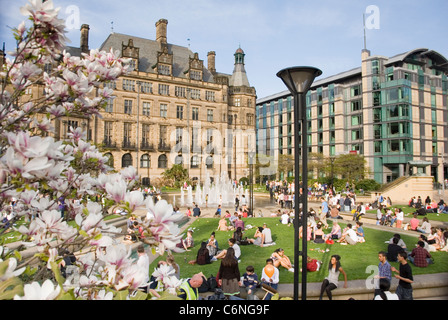 Hôtel de ville et des jardins de la paix de l'hôtel Mercure, avec lampe de rue & Magnolia Blossom, le centre-ville de Sheffield, UK Banque D'Images