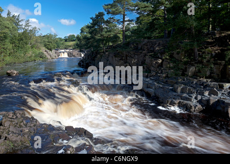 Au fil de l'eau jaillissante de la force faible Cascade, près de Middleton à Teesdale, County Durham Banque D'Images