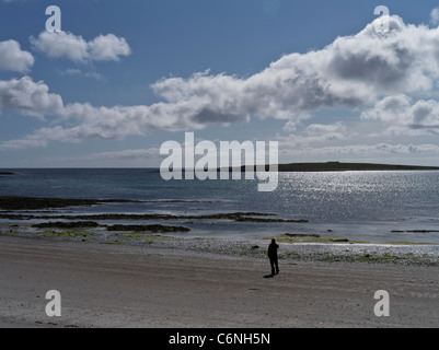 dh South Wick PAPA WESTRAY ORKNEY Scottish Tourist person Beach Holm de Papa Island Alone Bench Sea woman North Islands remote uk Banque D'Images
