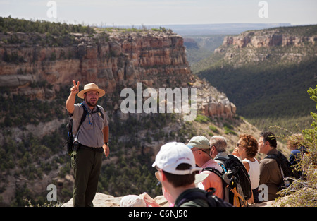 La maison longue falaise en séjour à Mesa Verde National Park Banque D'Images