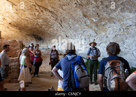 La maison longue falaise en séjour à Mesa Verde National Park Banque D'Images