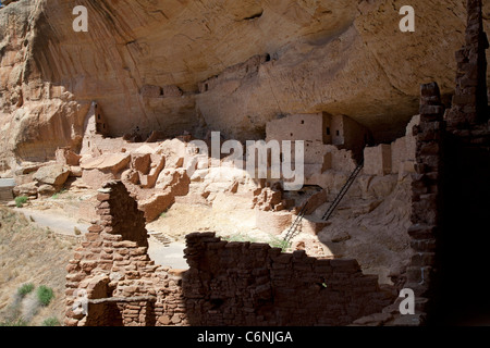 La maison longue falaise en séjour à Mesa Verde National Park Banque D'Images